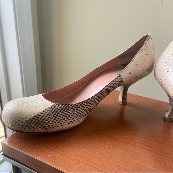 MaxStudio.com Snakeskin Kitten Heeled Shoe - Picture 5 of 9